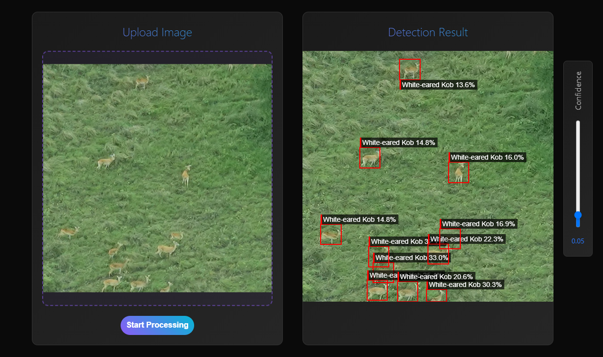 Basic Detection Demo