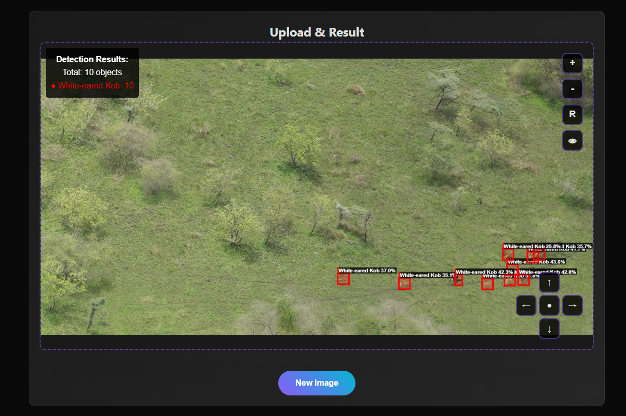 Large Image Detection Demo